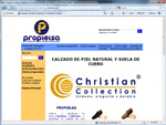 Caso de Estudio Tienda: Calzado Christian Collection