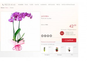 Crear tienda online